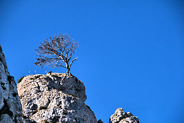 DSC05839 -1_t.jpg